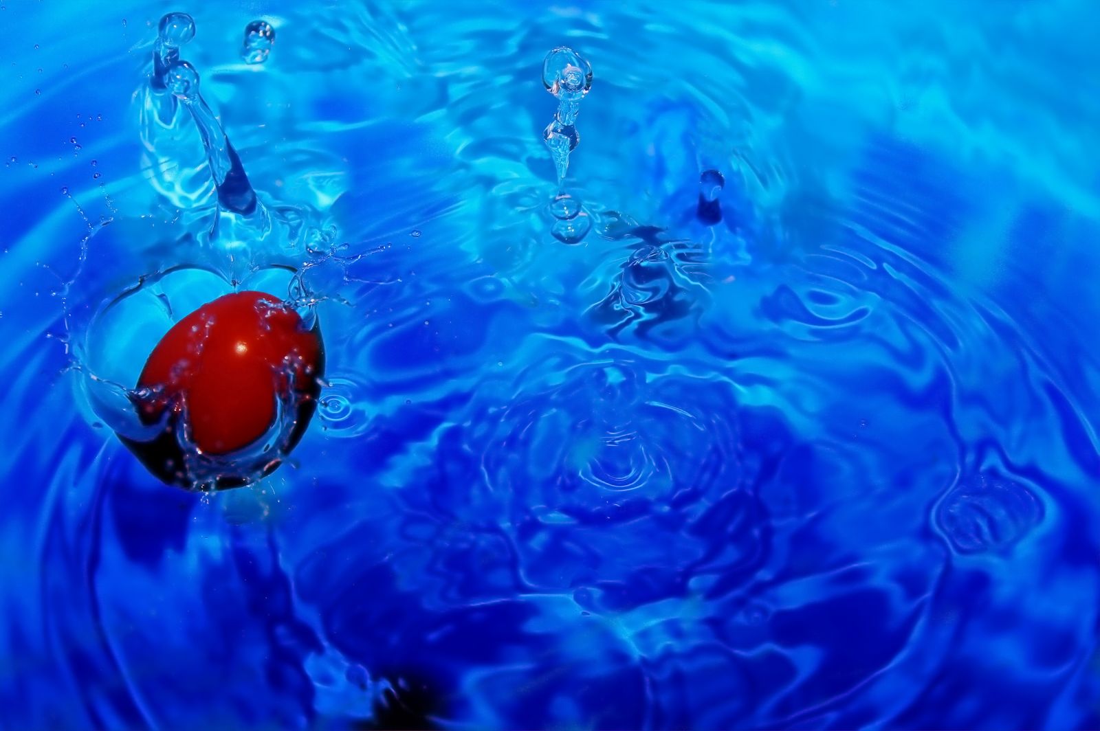 Blue Water, Red Tomato.