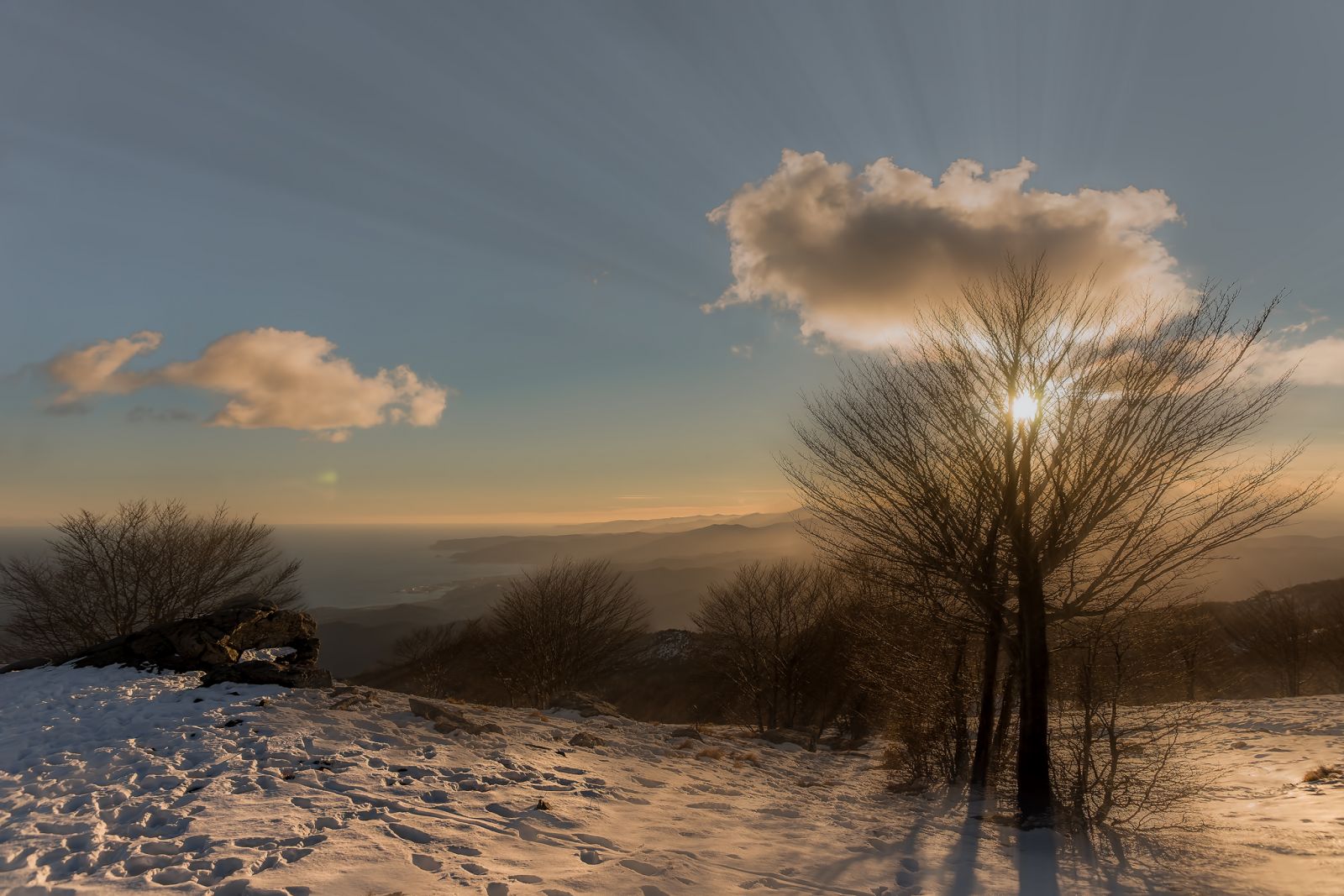 Sun, cloud, tree and snow