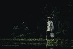 walk in rice fields