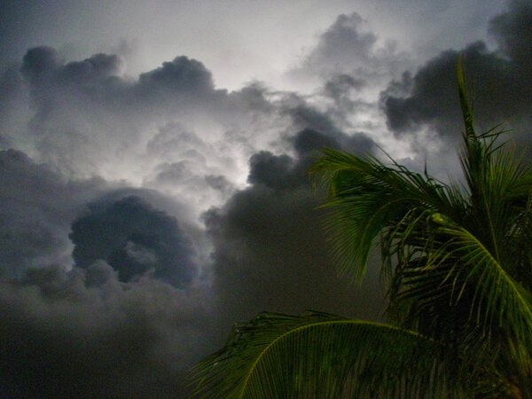 Florida Thunderstorm.jpg