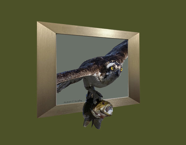 Gold Frame with osprey 2.jpg